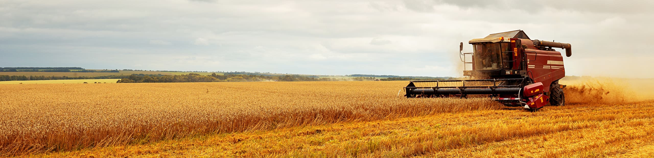 Header_MaschinenUndAnlagenbau